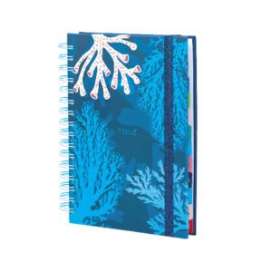 AGENDA TRENDY DREAMCATCHER 2026 - Environment
